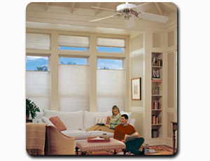 WINDOW TREATMENTS ALBANY NY | WINDOW BLINDS  INSULATING WINDOW SHADES